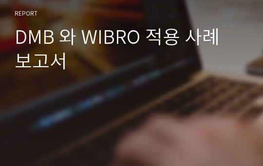 DMB 와 WIBRO 적용 사례 보고서