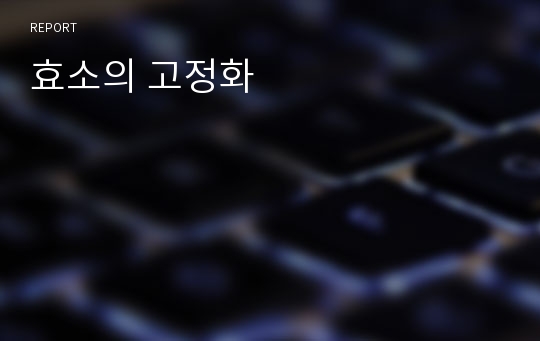 효소의 고정화