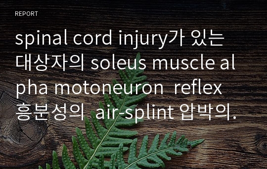 spinal cord injury가 있는 대상자의 soleus muscle alpha motoneuron  reflex 흥분성의  air-splint 압박의 효과