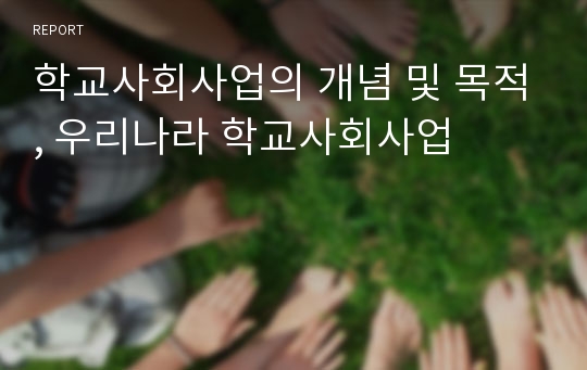 학교사회사업의 개념 및 목적, 우리나라 학교사회사업