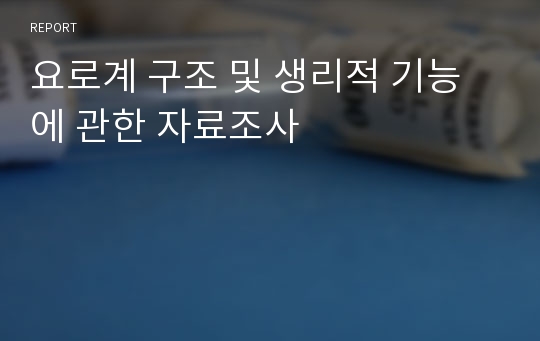 요로계 구조 및 생리적 기능에 관한 자료조사