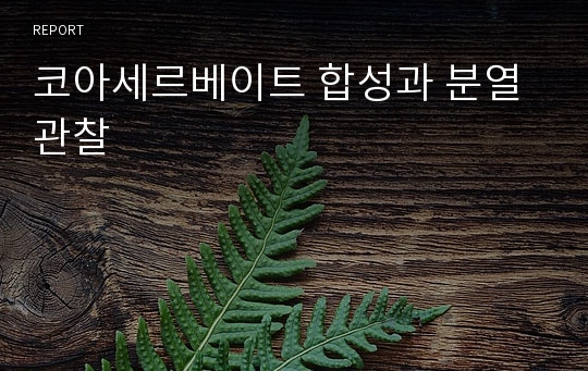 코아세르베이트 합성과 분열 관찰