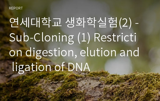 연세대학교 생화학실험(2) - Sub-Cloning (1) Restriction digestion, elution and ligation of DNA