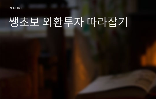 쌩초보 외환투자 따라잡기