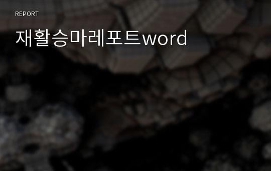 재활승마레포트word