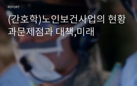 (간호학)노인보건사업의 현황과문제점과 대책,미래