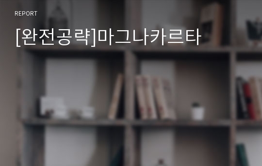 [완전공략]마그나카르타