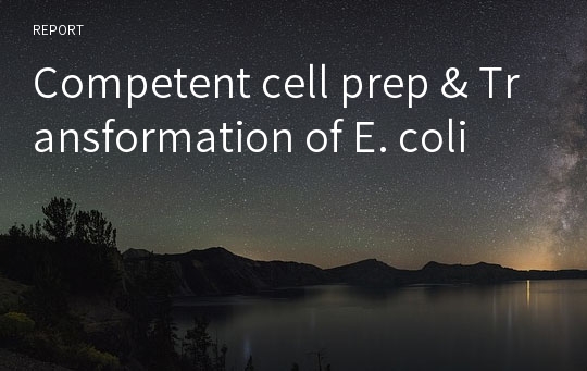 Competent cell prep &amp; Transformation of E. coli