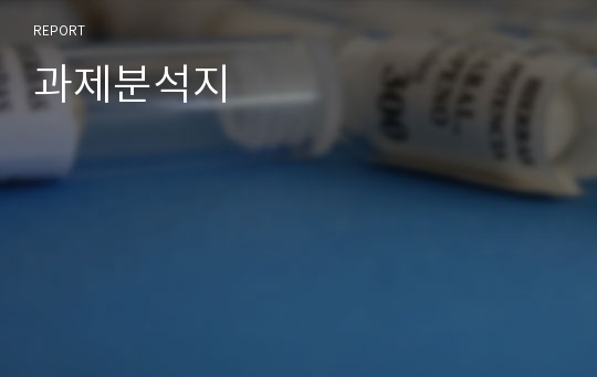 과제분석지