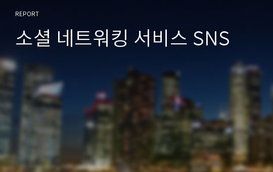 소셜 네트워킹 서비스 SNS