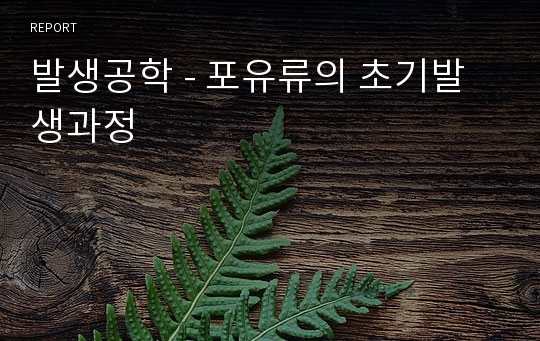 발생공학 - 포유류의 초기발생과정