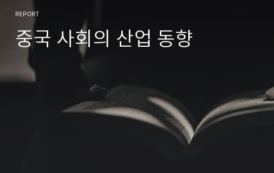 중국 사회의 산업 동향