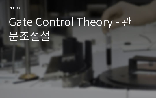 Gate Control Theory - 관문조절설