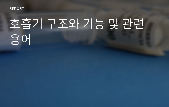 호흡기 구조와 기능 및 관련용어