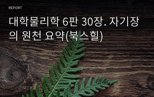 대학물리학 6판 30장. 자기장의 원천 요약(북스힐)