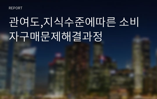 관여도,지식수준에따른 소비자구매문제해결과정