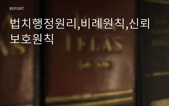 법치행정원리,비례원칙,신뢰보호원칙