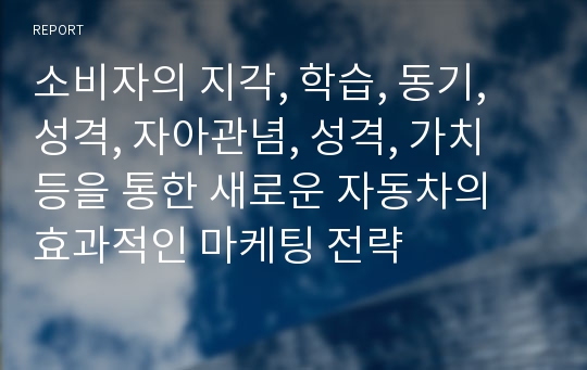 소비자의 지각, 학습, 동기, 성격, 자아관념, 성격, 가치 등을 통한 새로운 자동차의 효과적인 마케팅 전략