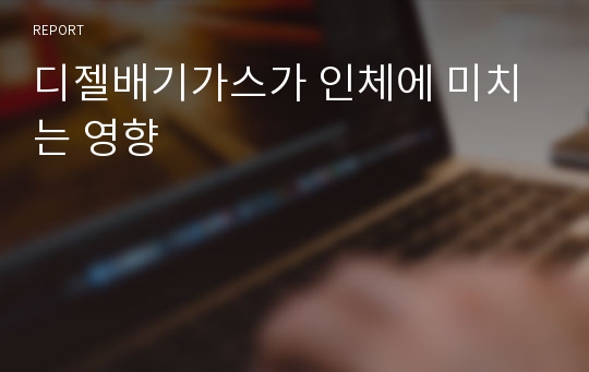 디젤배기가스가 인체에 미치는 영향