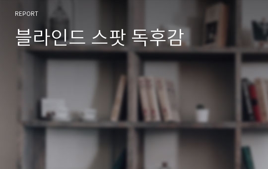 블라인드 스팟 독후감