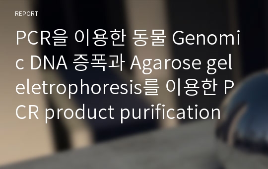 PCR을 이용한 동물 Genomic DNA 증폭과 Agarose gel eletrophoresis를 이용한 PCR product purification