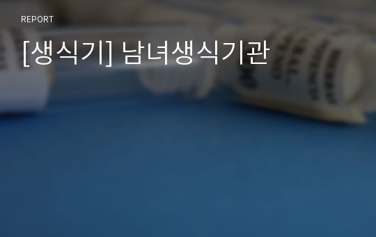 [생식기] 남녀생식기관