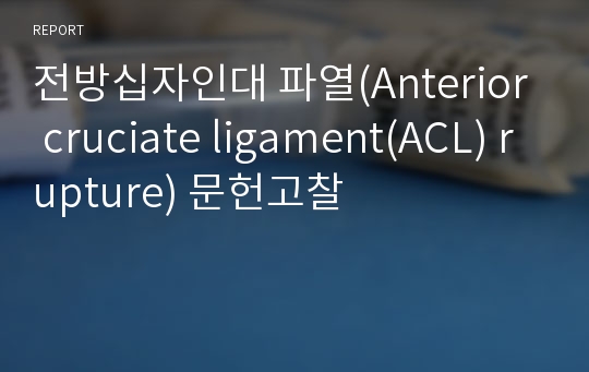 전방십자인대 파열(Anterior cruciate ligament(ACL) rupture) 문헌고찰