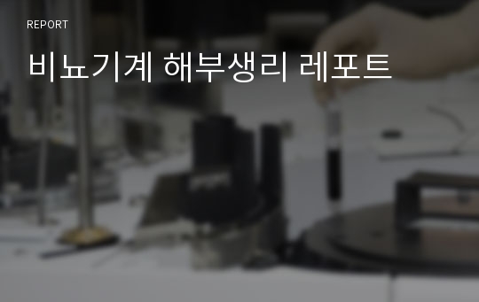 비뇨기계 해부생리 레포트