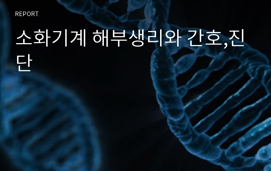 소화기계 해부생리와 간호,진단