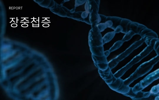 장중첩증