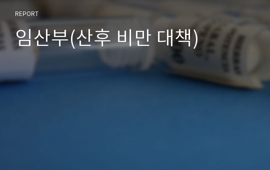 임산부(산후 비만 대책)