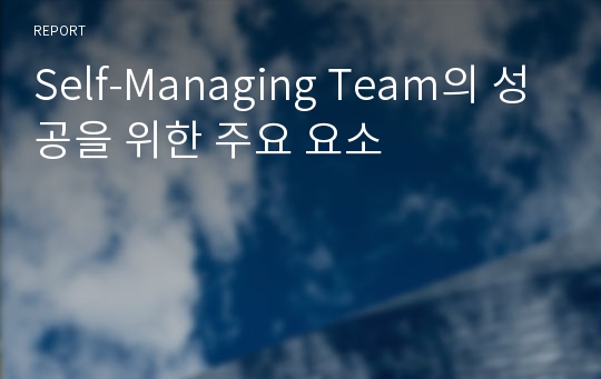 Self-Managing Team의 성공을 위한 주요 요소