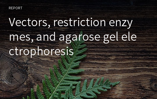 Vectors, restriction enzymes, and agarose gel electrophoresis