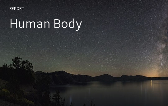 Human Body