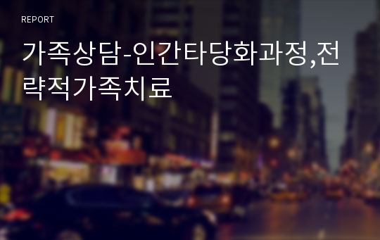 가족상담-인간타당화과정,전략적가족치료