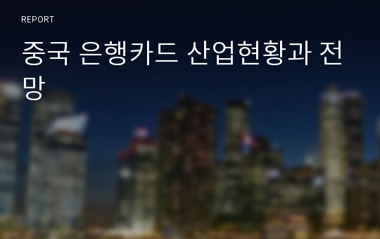 중국 은행카드 산업현황과 전망