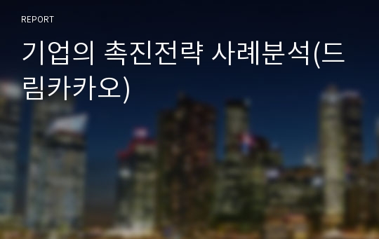 기업의 촉진전략 사례분석(드림카카오)