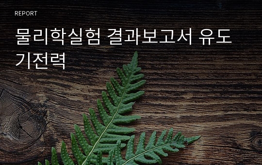 물리학실험 결과보고서 유도기전력