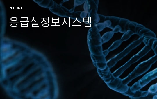 응급실정보시스템