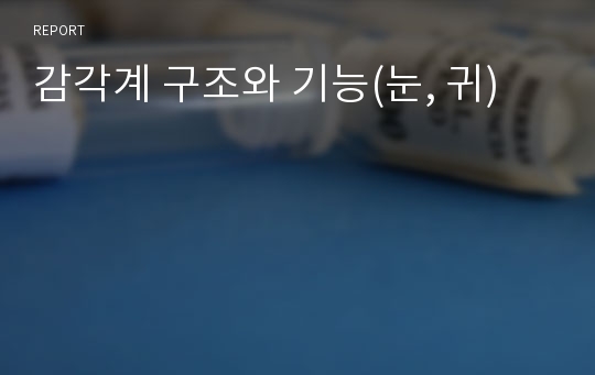 감각계 구조와 기능(눈, 귀)