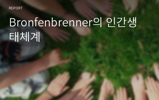 Bronfenbrenner의 인간생태체계