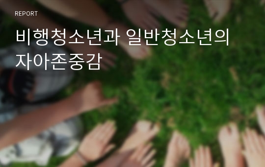 비행청소년과 일반청소년의 자아존중감