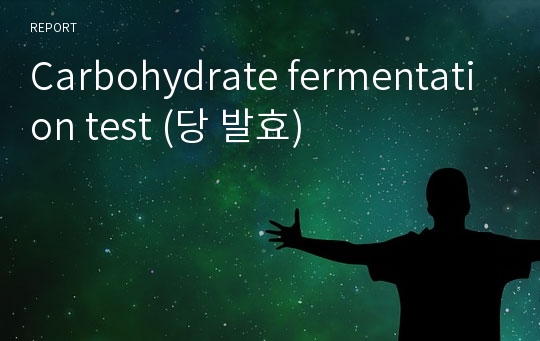 Carbohydrate fermentation test (당 발효)