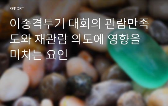 이종격투기 대회의 관람만족도와 재관람 의도에 영향을 미치는 요인