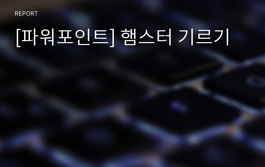 [파워포인트] 햄스터 기르기