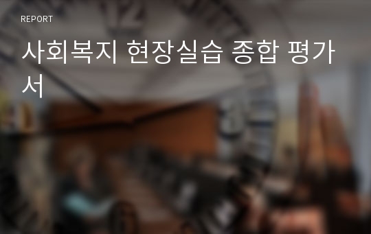 사회복지 현장실습 종합 평가서