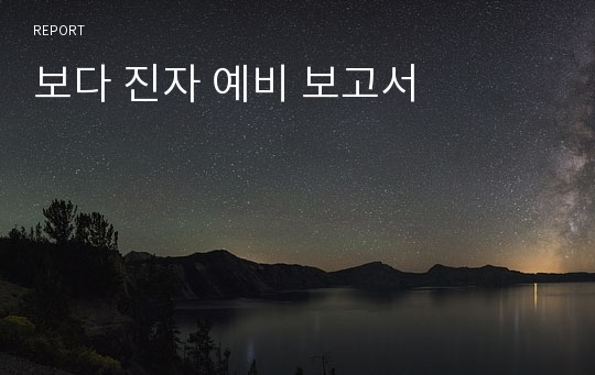 보다 진자 예비 보고서