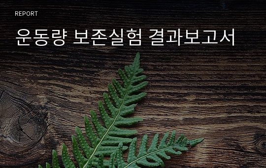 운동량 보존실험 결과보고서