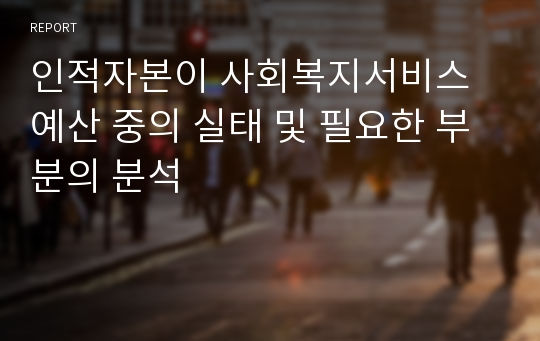 인적자본이 사회복지서비스 예산 중의 실태 및 필요한 부분의 분석