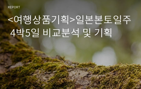 &lt;여행상품기획&gt;일본본토일주 4박5일 비교분석 및 기획